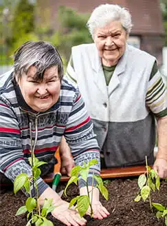 Two happy seniors gardening.